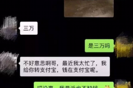 金湖为什么选择专业追讨公司来处理您的债务纠纷？